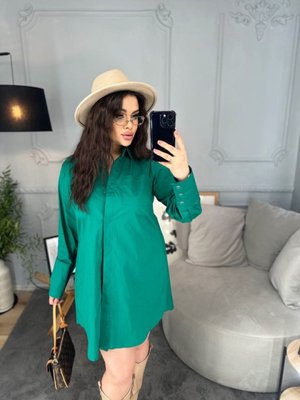 Жіноча сорочка-туніка зелена 105315 фото